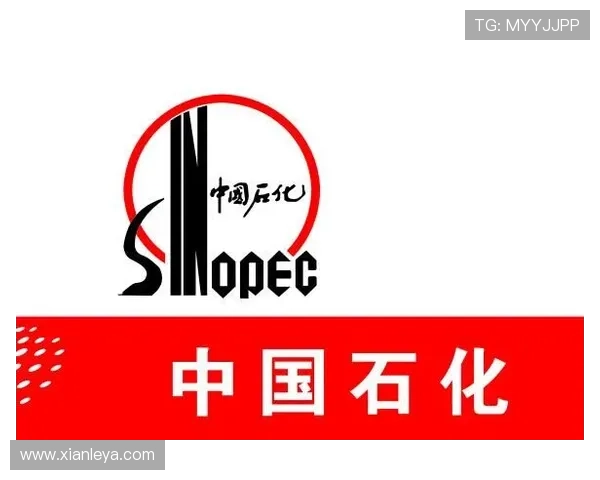 K8凯发官网app下载安全保障,保障用户信息安全的最佳选择