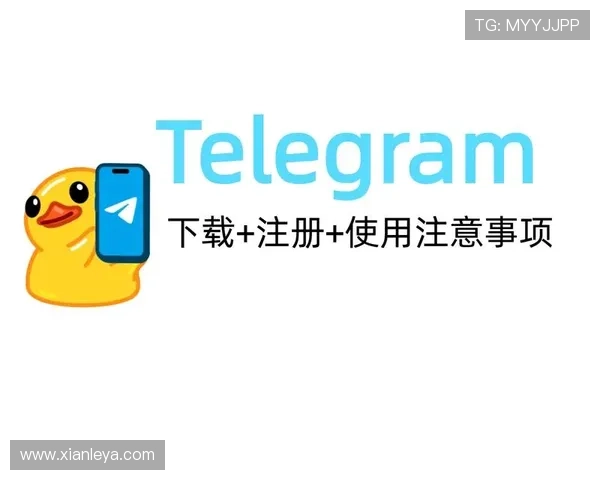 凯发在线注册平台官网下载:详细教程帮助新手快速注册与登录指南