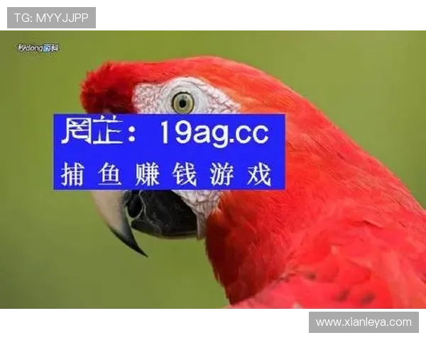 提升ag捕鱼盈利用率的实用技巧,快速掌握稳赚不亏的游戏秘诀