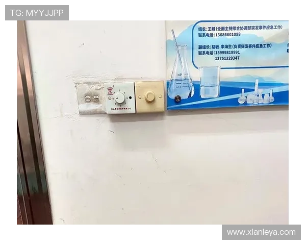 最新K8凯发app网址更新公告,及时掌握平台最新入口和安全措施