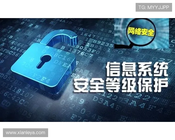 凯发体育注册中心：注册流程中的安全措施与个人信息保护策略详解
