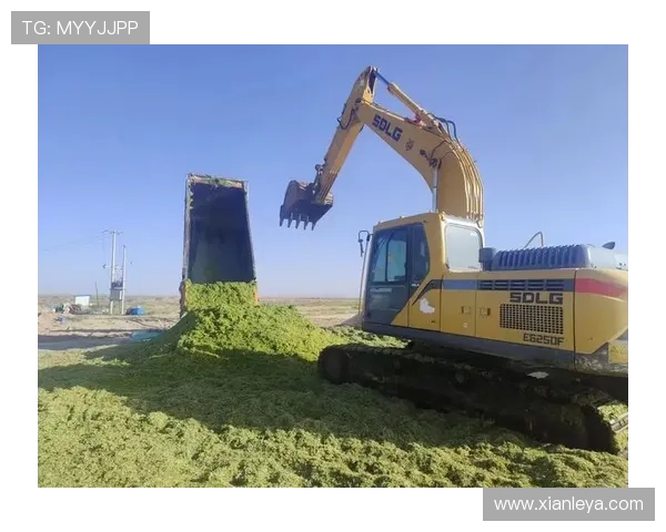 AG凯发K8国际稳定平台采用先进技术确保平台运行的连续性与安全性