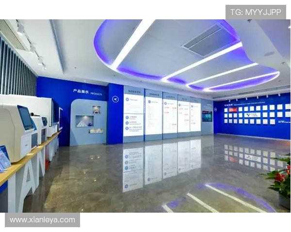 全面解析K8凯发网址官方网站的功能特色与用户体验优化方案