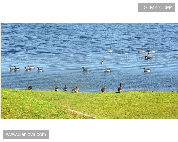 通过keno官网了解最新游戏资讯和赛事信息，掌握第一手动态把握中奖机会