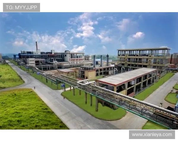 凯发集团如何实现可持续发展与绿色环保目标